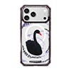 best-premium-natural-gemstone-energy-custom-iphone-17-case-pg43