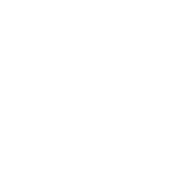 Customization Icon